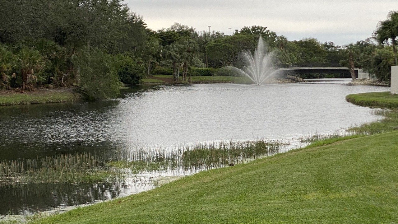 Photo of Others in Pelican Bay