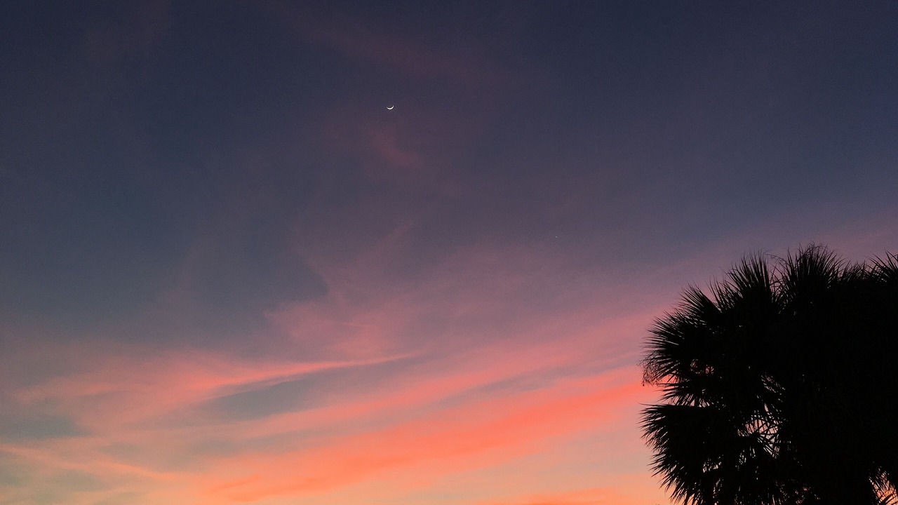 Photo of Others in Vero Beach