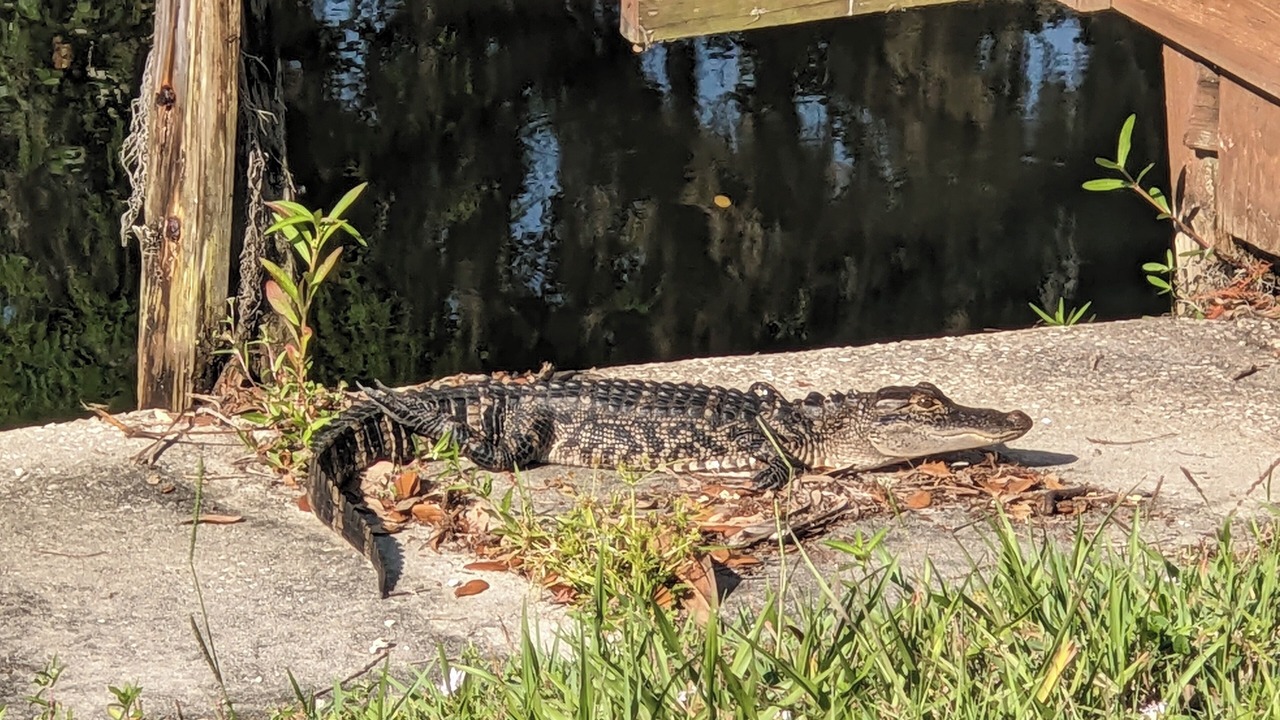 Photo of Outdoor in Lorida
