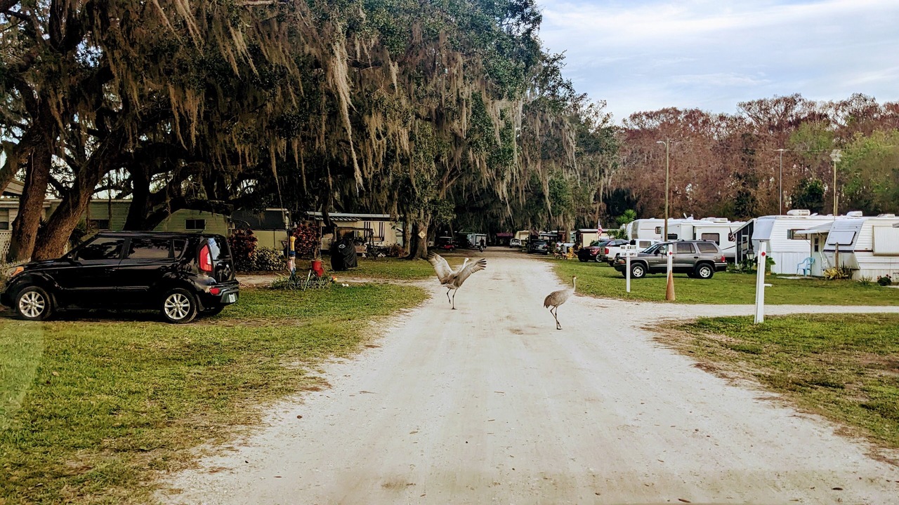 Photo of Outdoor in Lorida