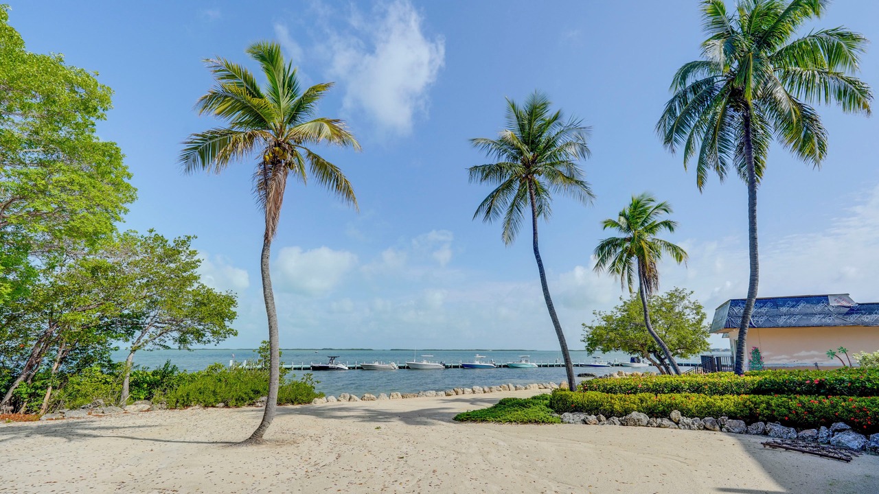 Photo of Others in Rock Harbor