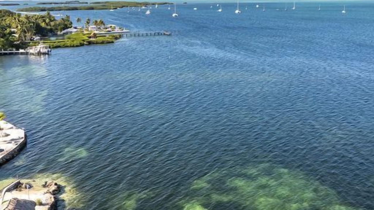 Photo of Outdoor in Islamorada
