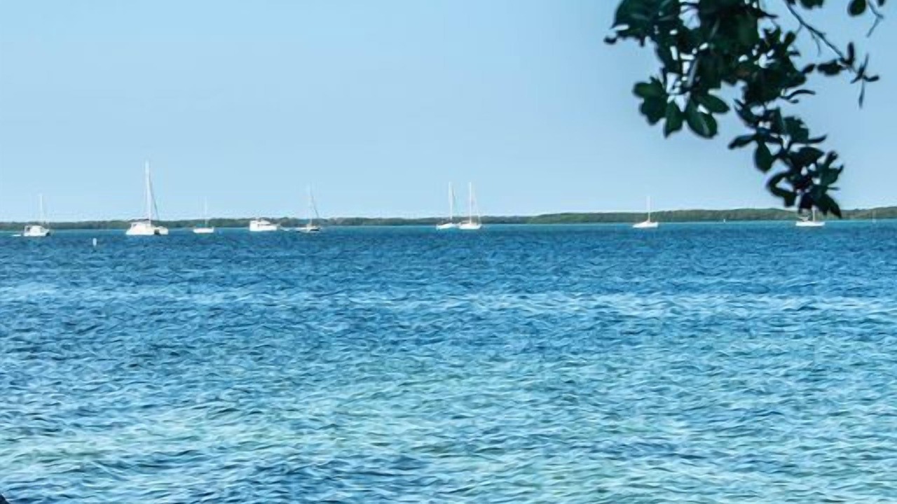 Photo of Others in Islamorada