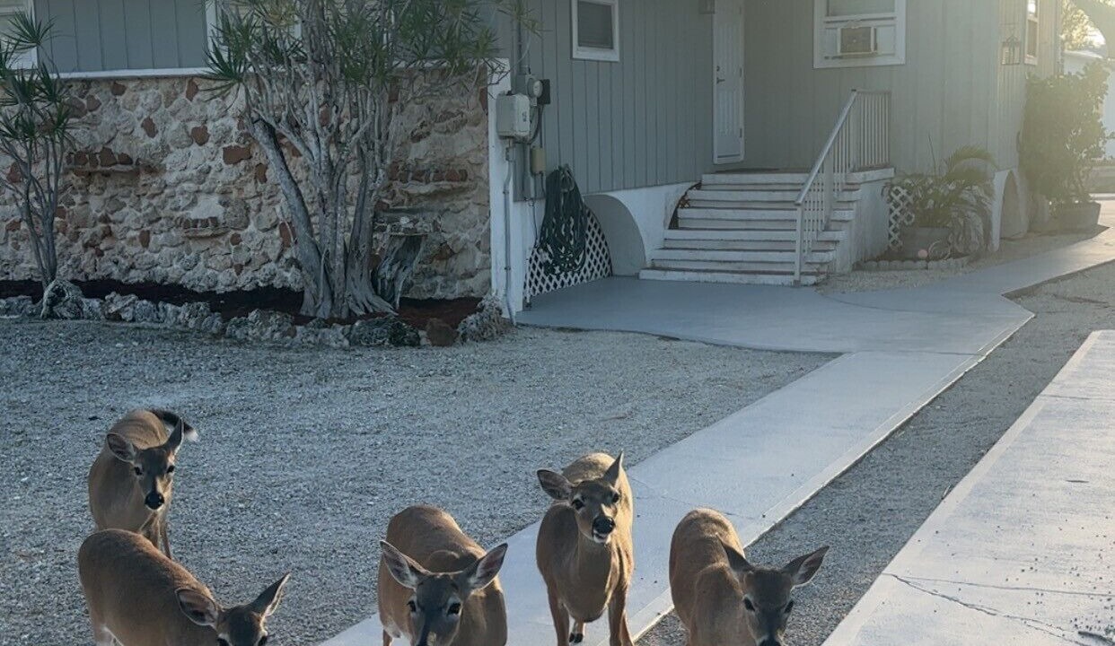 Photo of Outdoor in Eden Pines