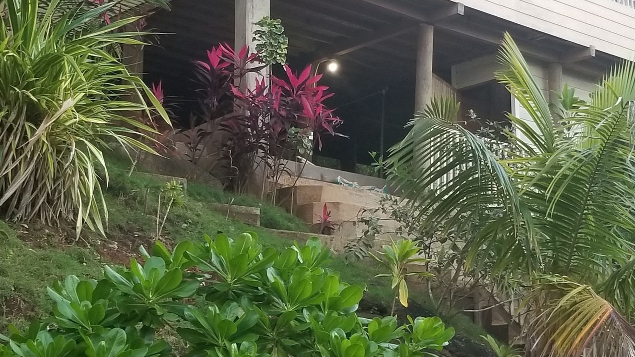 Photo of Outdoor in The Fountains