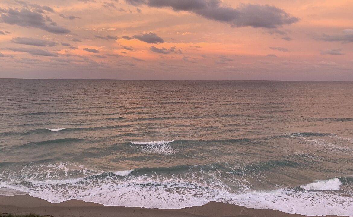 Photo of Others in Hutchinson Island South