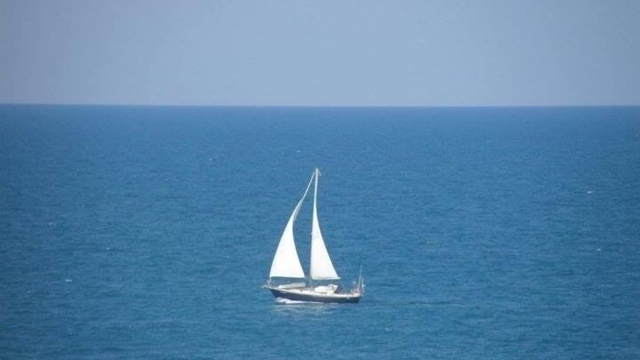 Photo of Others in Hutchinson Island South