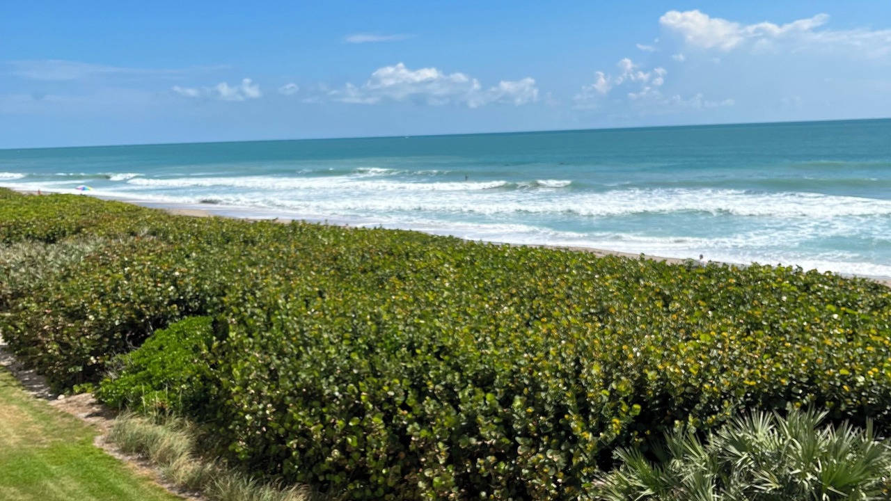 Photo of Others in Hutchinson Island South