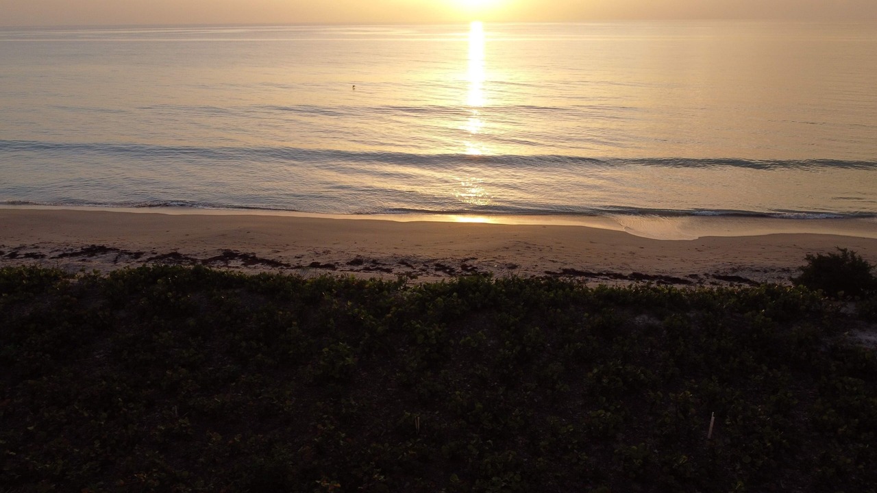 Photo of Others in Hutchinson Island South