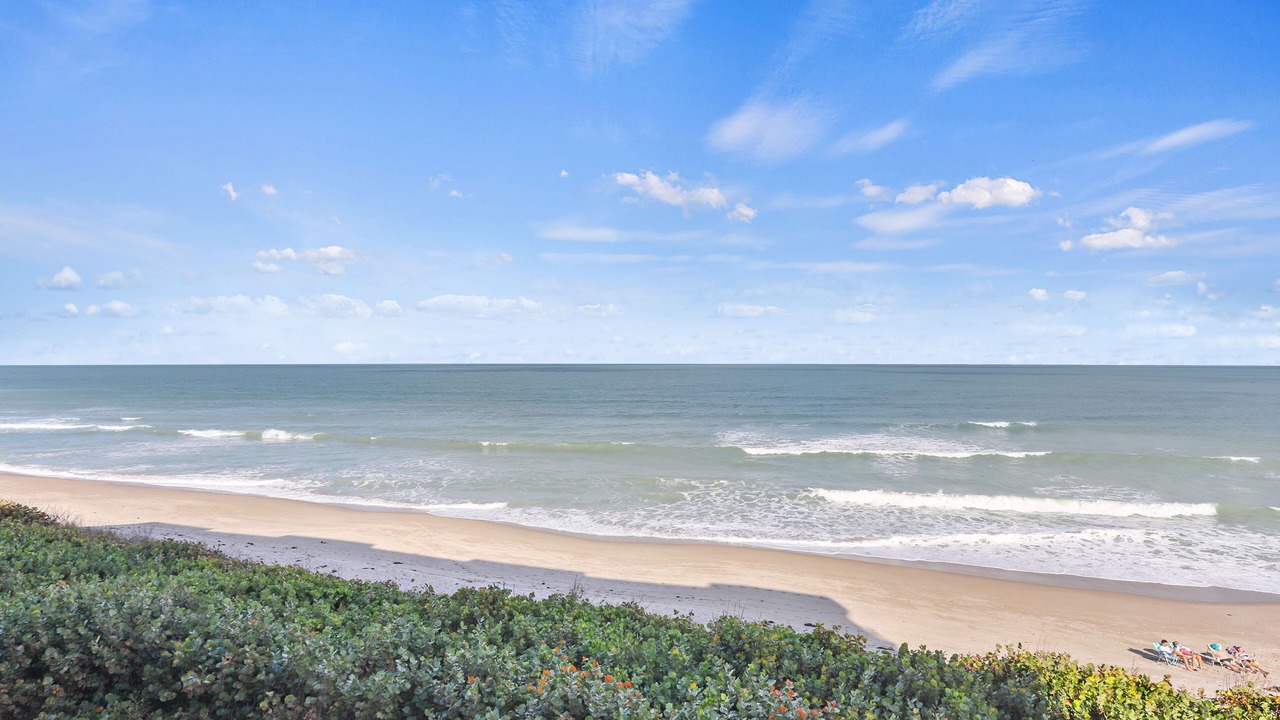 Photo of Others in Hutchinson Island South
