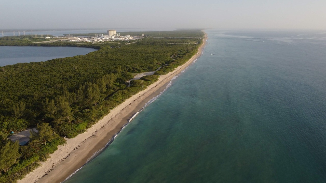 Photo of Others in Hutchinson Island South
