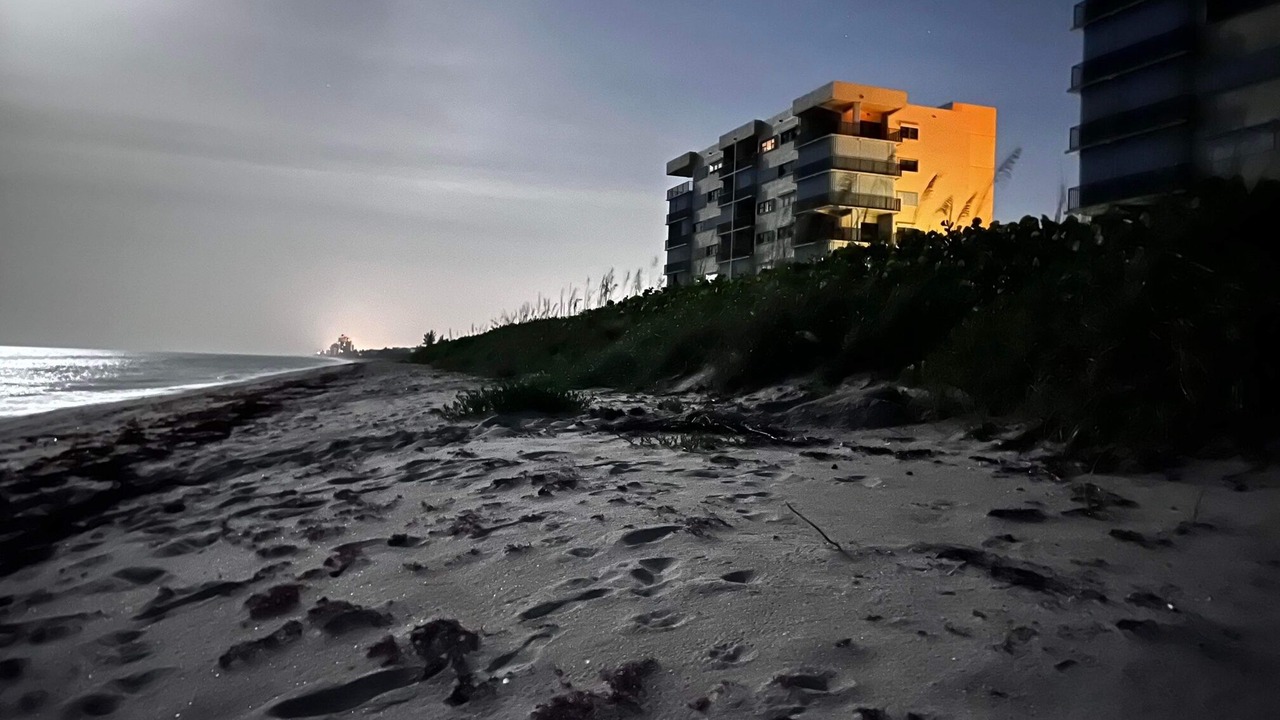 Photo of Others in Hutchinson Island South
