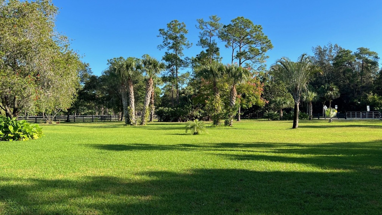 Photo of Outdoor in Palm City