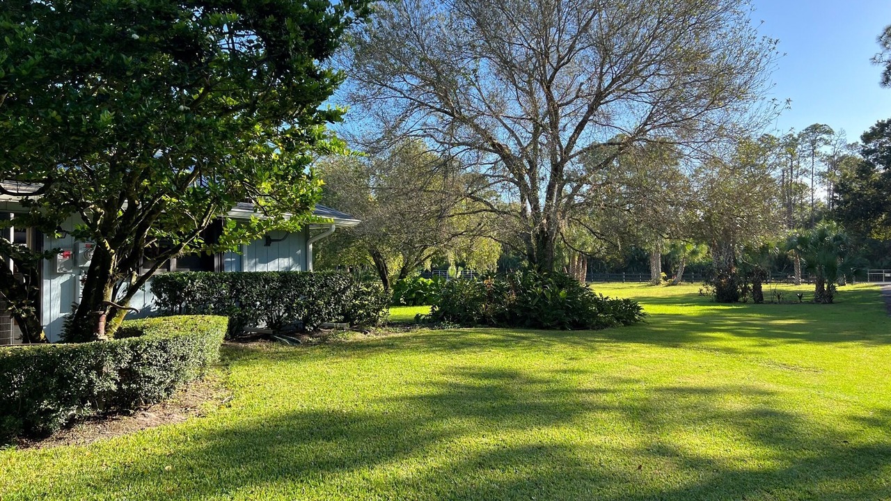 Photo of Outdoor in Palm City