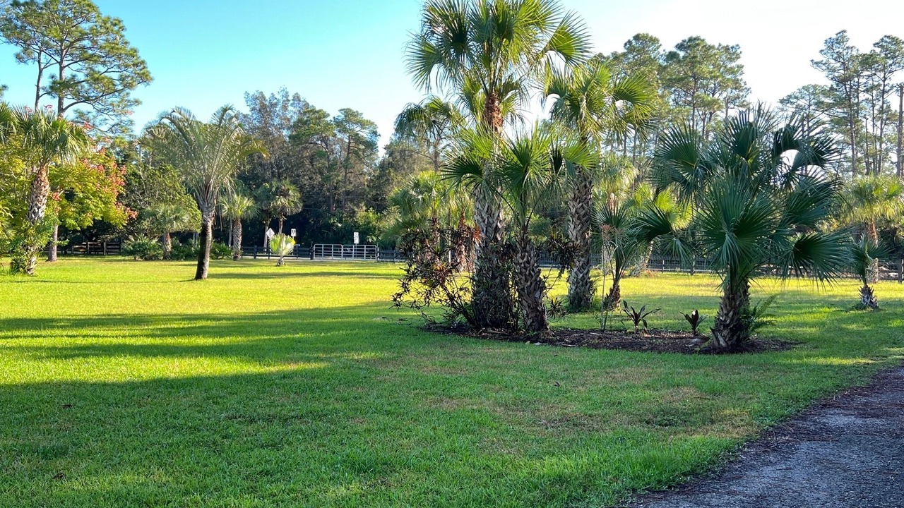 Photo of Outdoor in Palm City