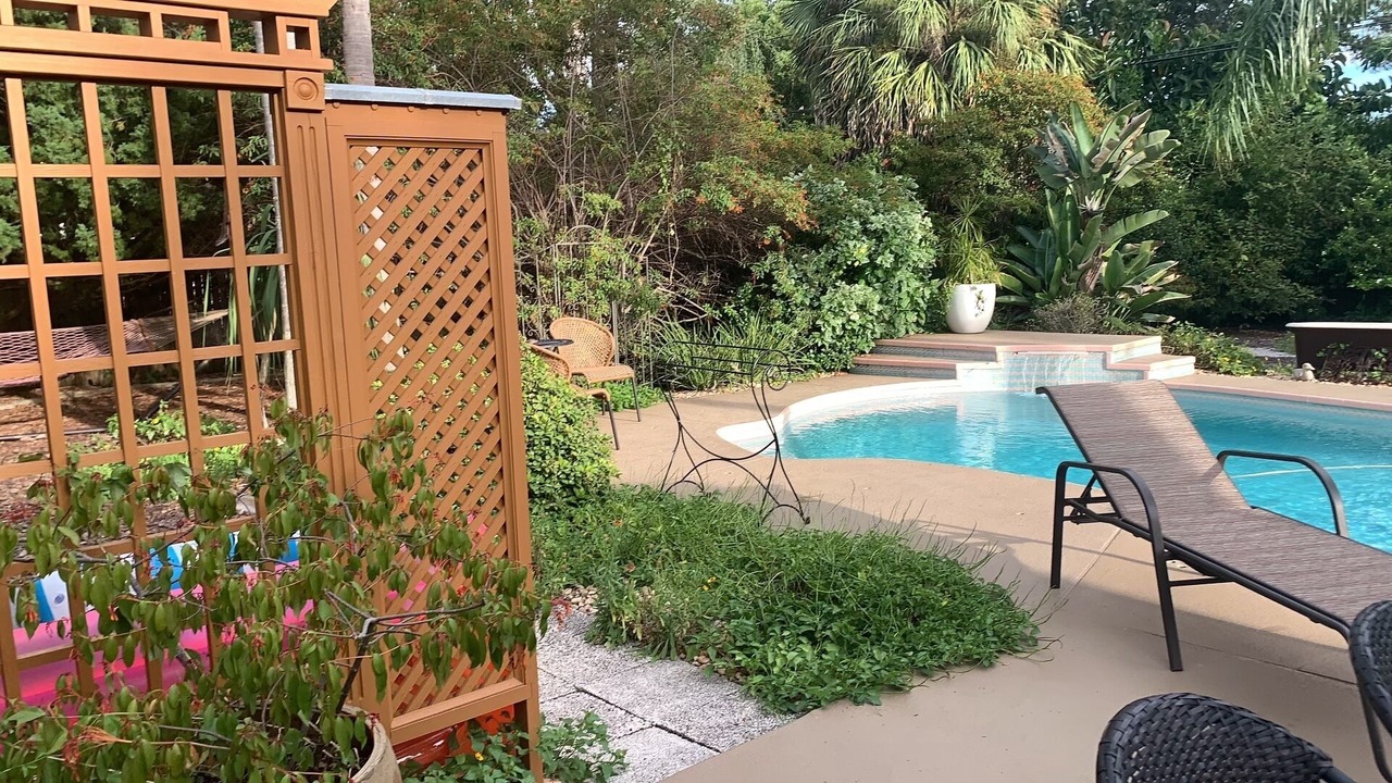 Photo of Outdoor in Palm Harbor