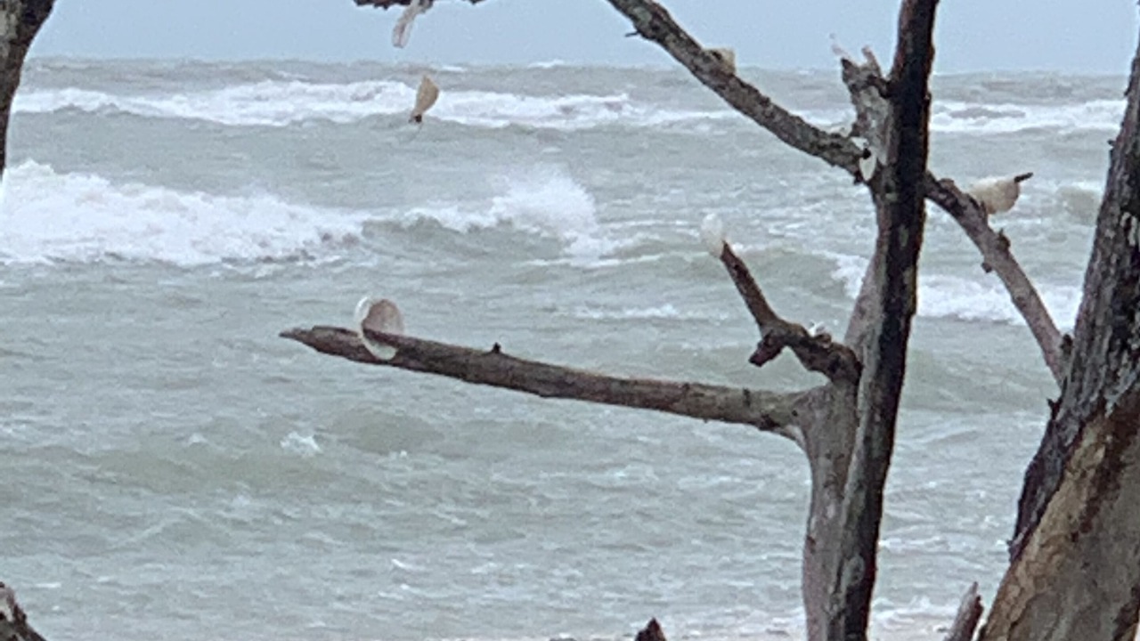 Photo of Others in Naples Park