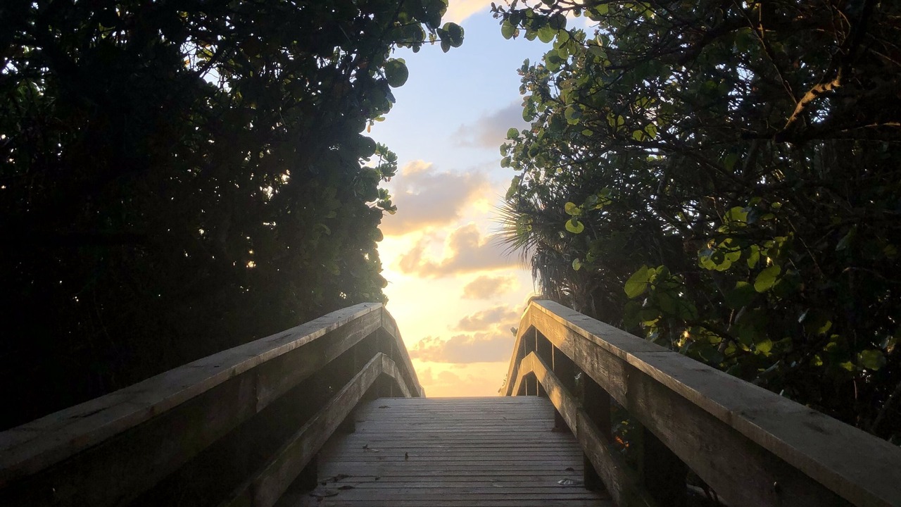 Photo of Others in Indian River Shores