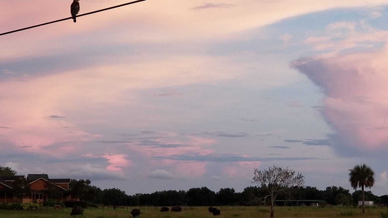 Photo of Others in River Ranch