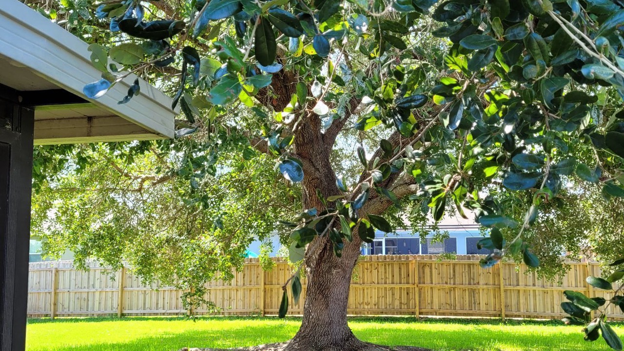 Photo of Outdoor in Port Saint Lucie