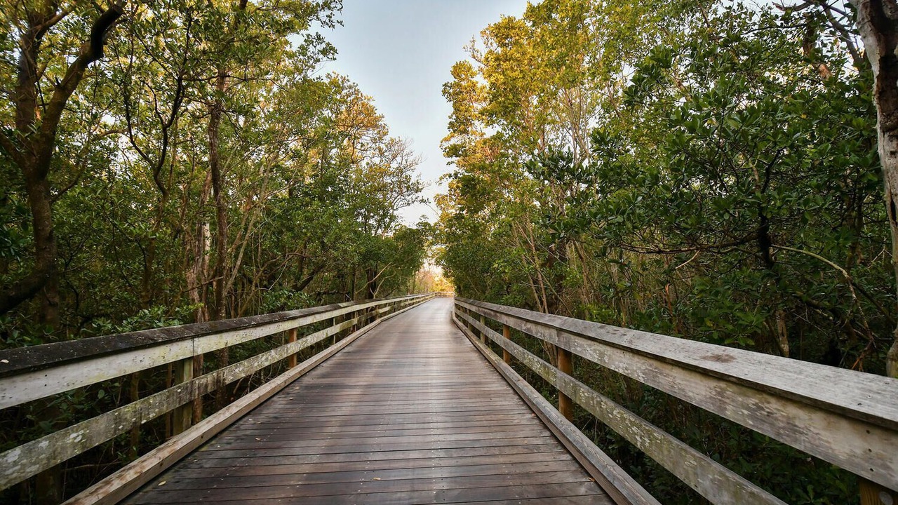 Photo of Outdoor in Beauville