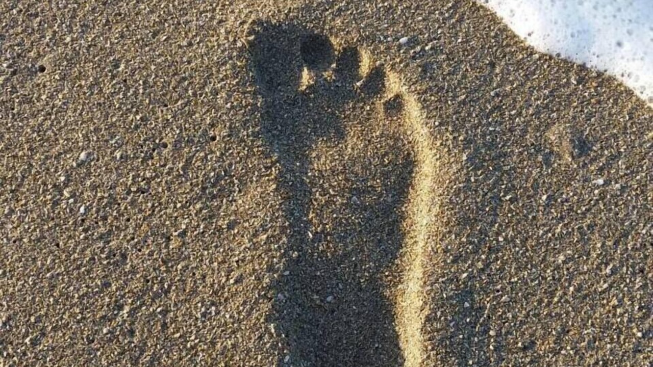 Photo of Others in Port Saint Lucie