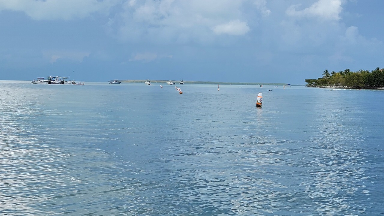 Photo of Others in Islamorada