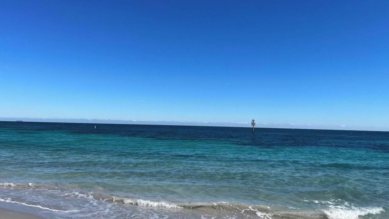 Photo of Others in Key Biscayne