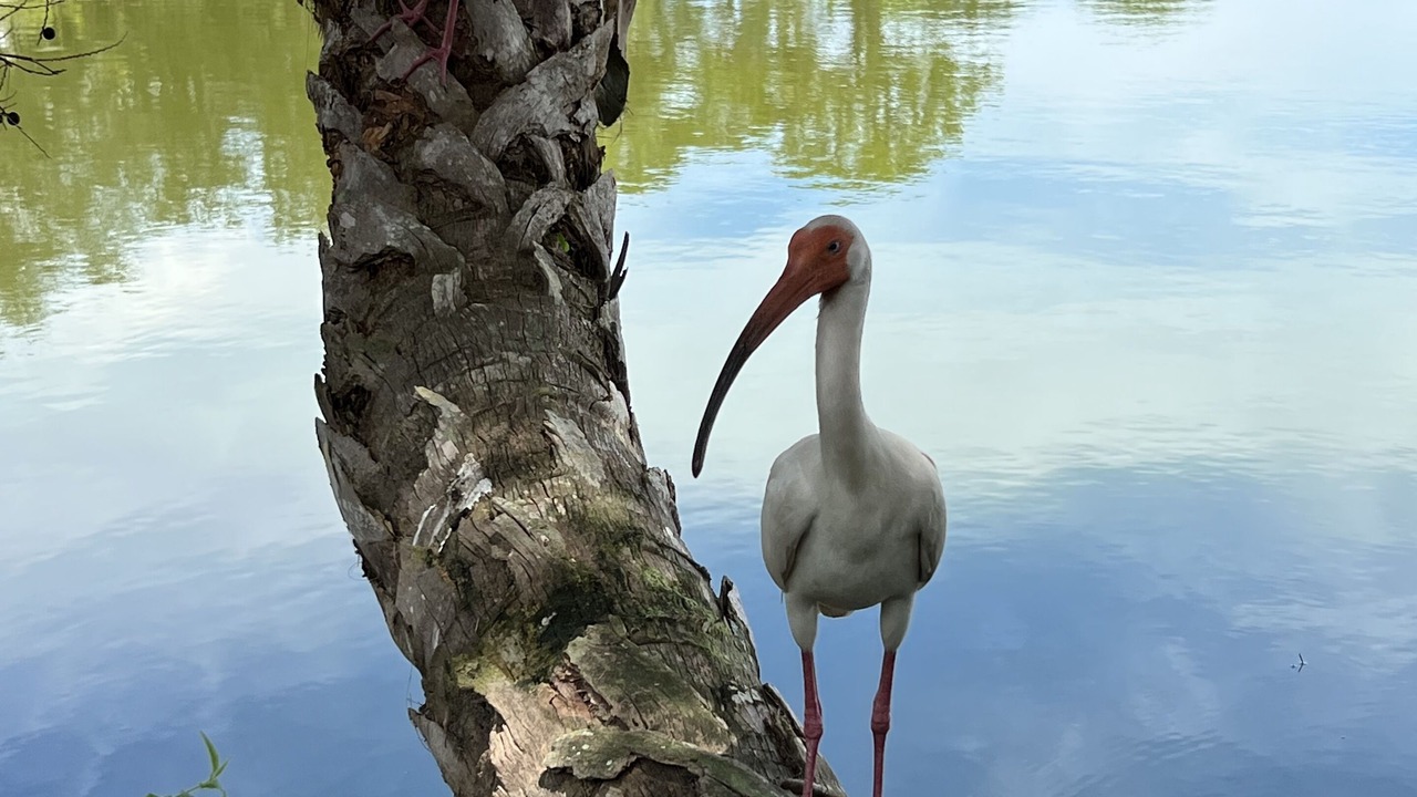 Photo of Others in Laurel
