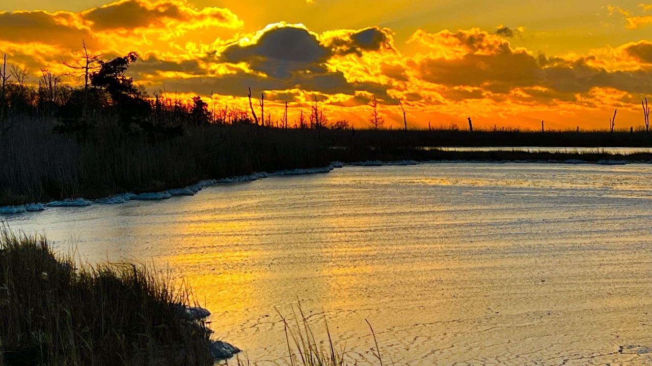 Photo of Outdoor in Fortescue