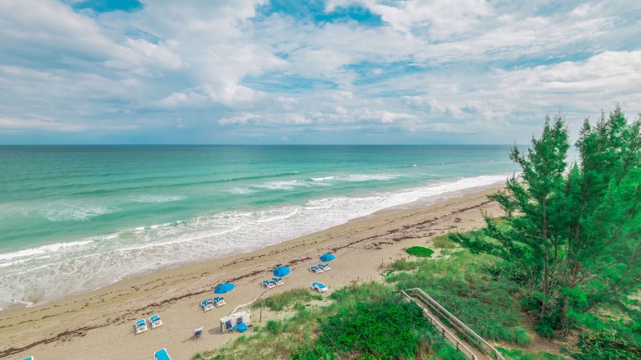 Photo of Others in Hutchinson Island South