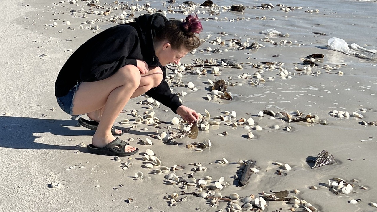 Photo of Others in Iona