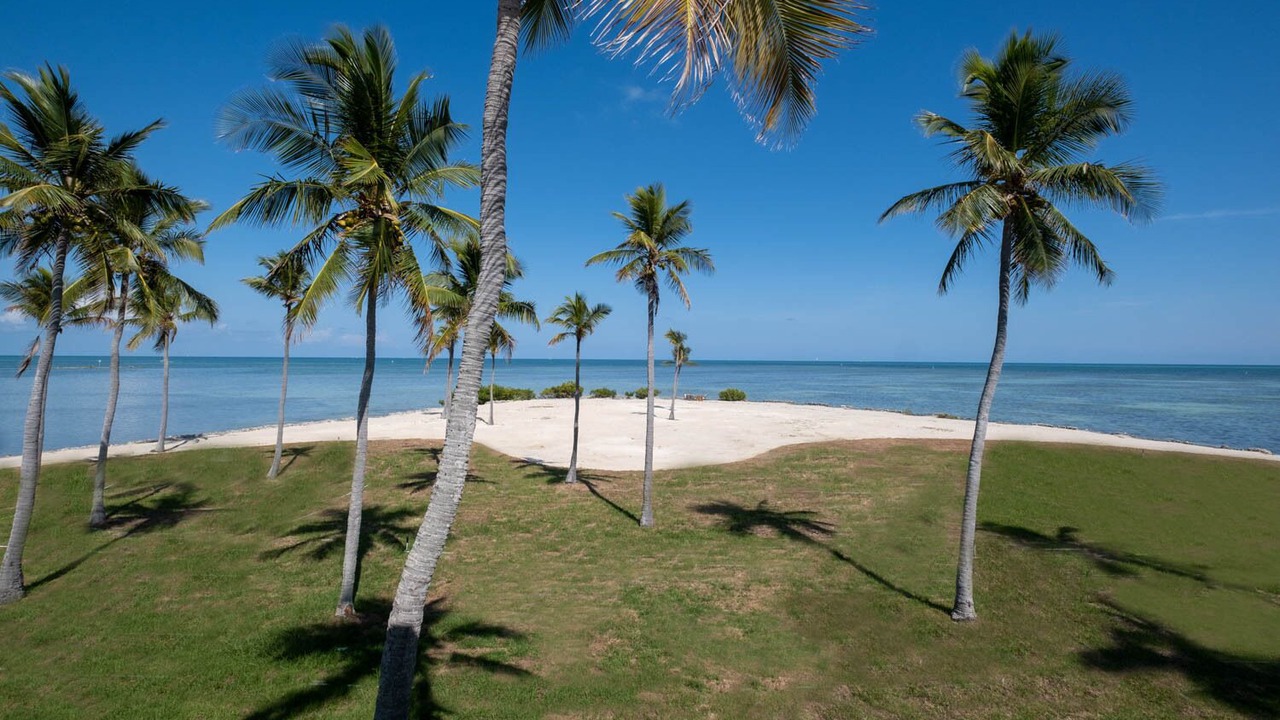 Photo of Others in Coral Cove