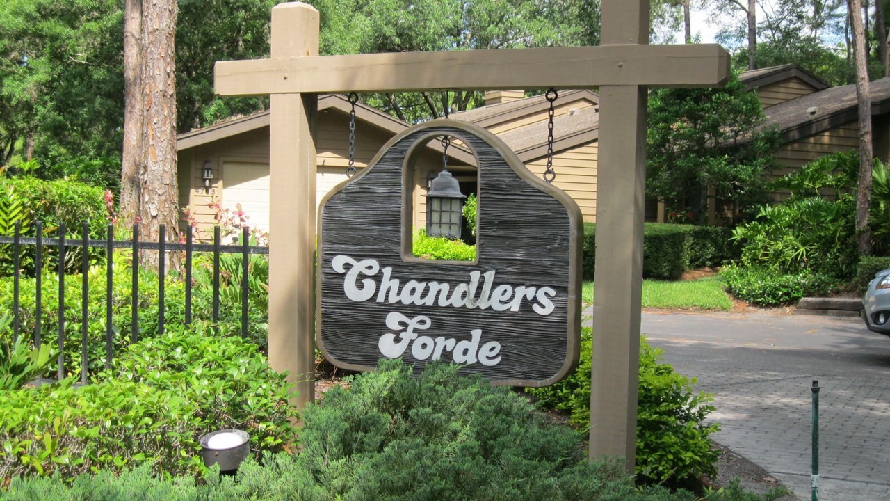 Photo of Outdoor in The Meadows