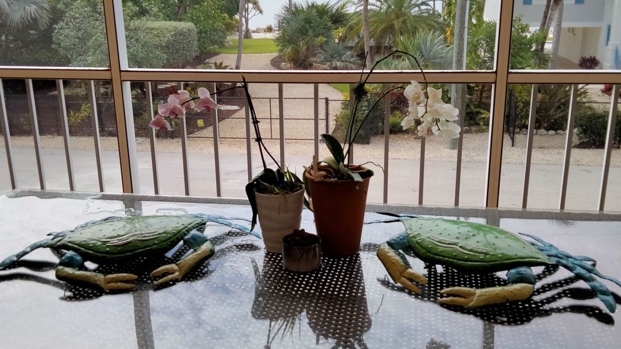 Photo of Outdoor in Islamorada