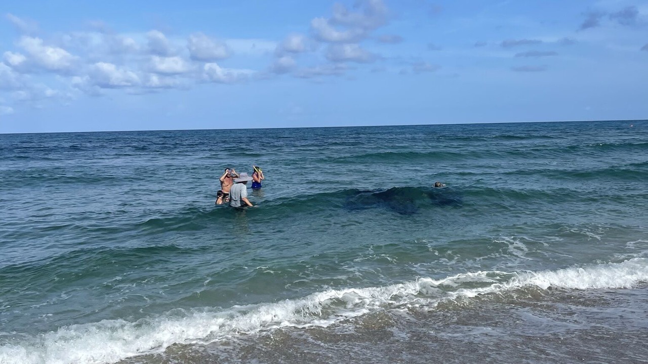 Photo of Others in Singer Island