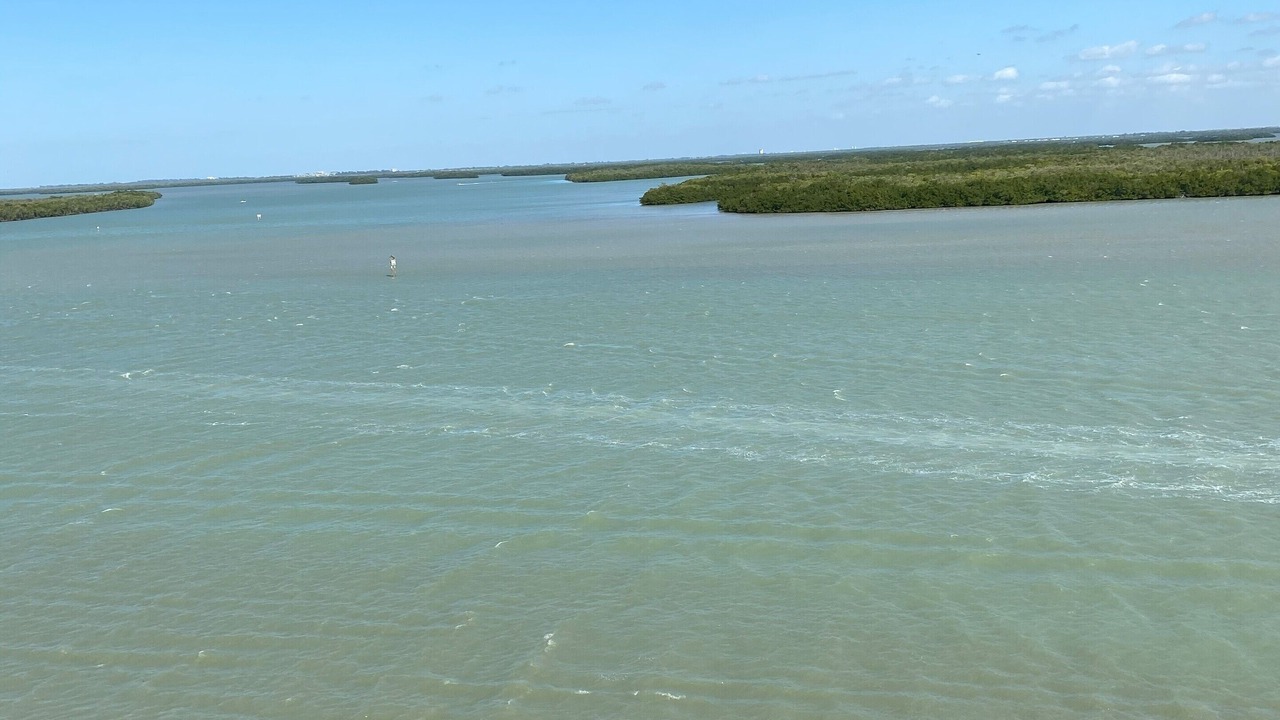 Photo of Outdoor in Fort Myers Beach