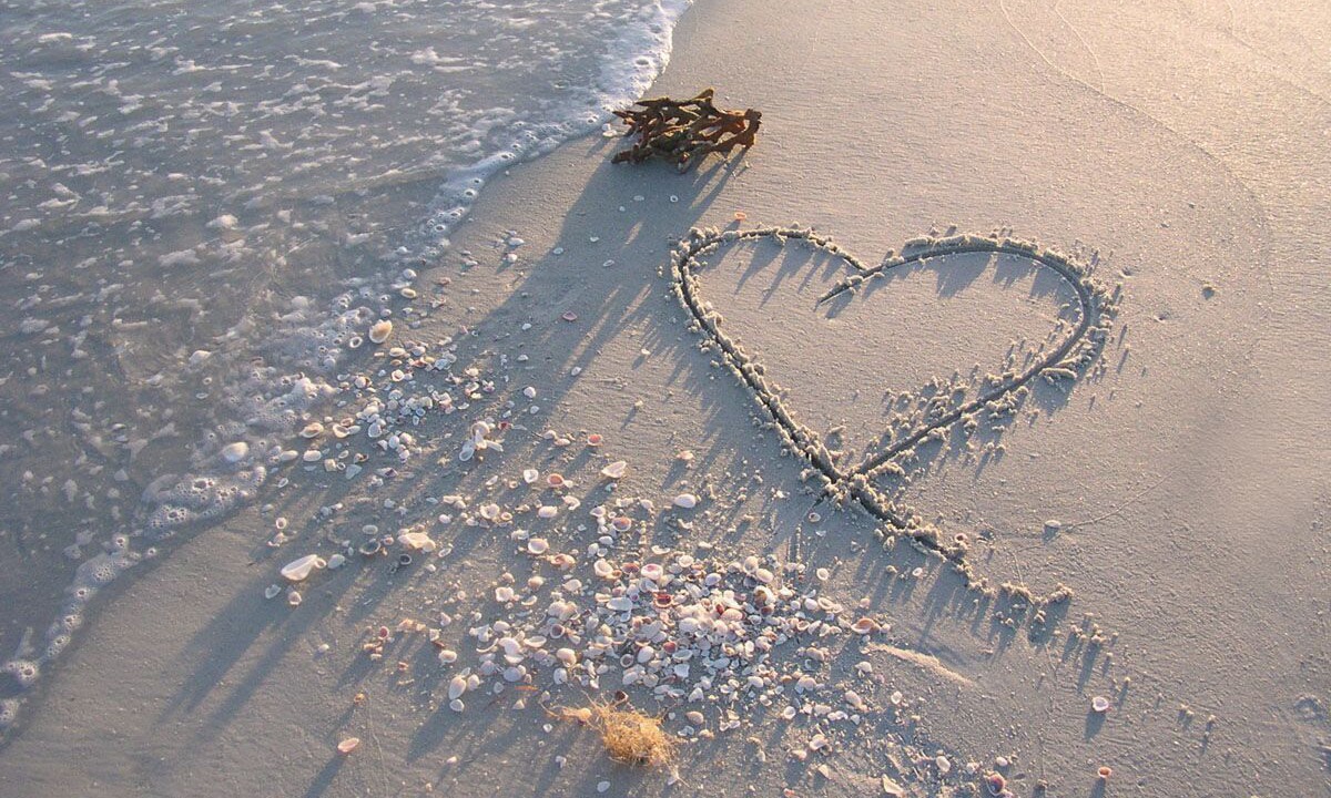 Photo of Others in Sanibel