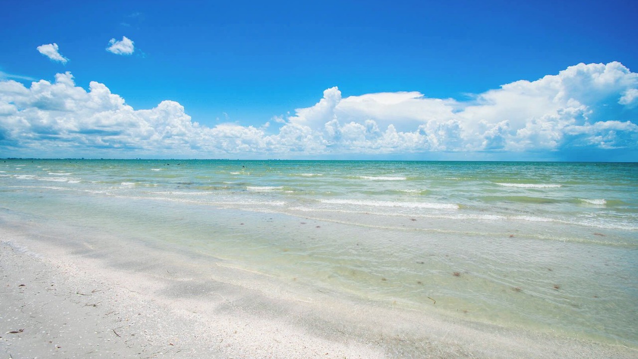 Photo of Others in Sanibel
