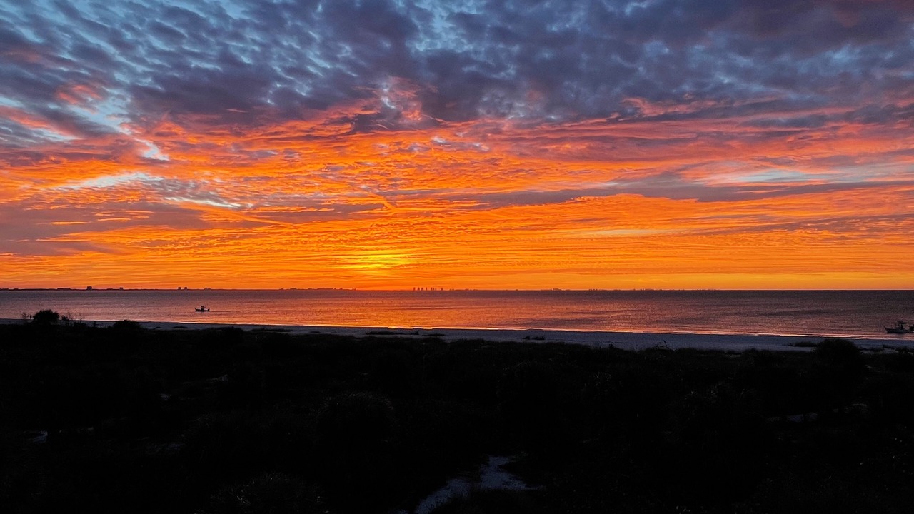 Photo of Others in Sanibel