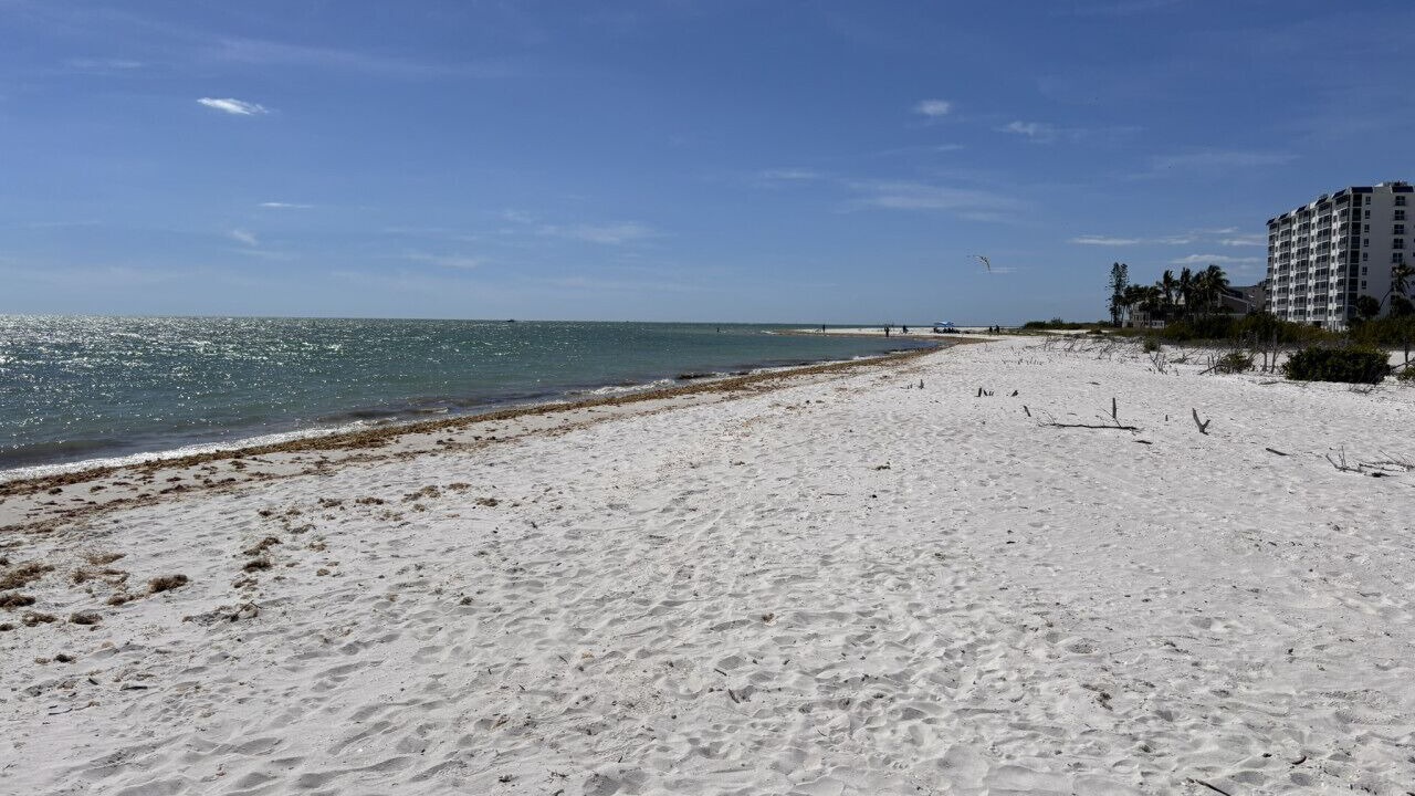 Photo of Others in Laguna Shores