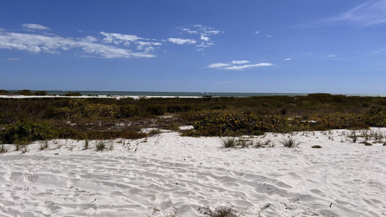 Photo of Others in Laguna Shores