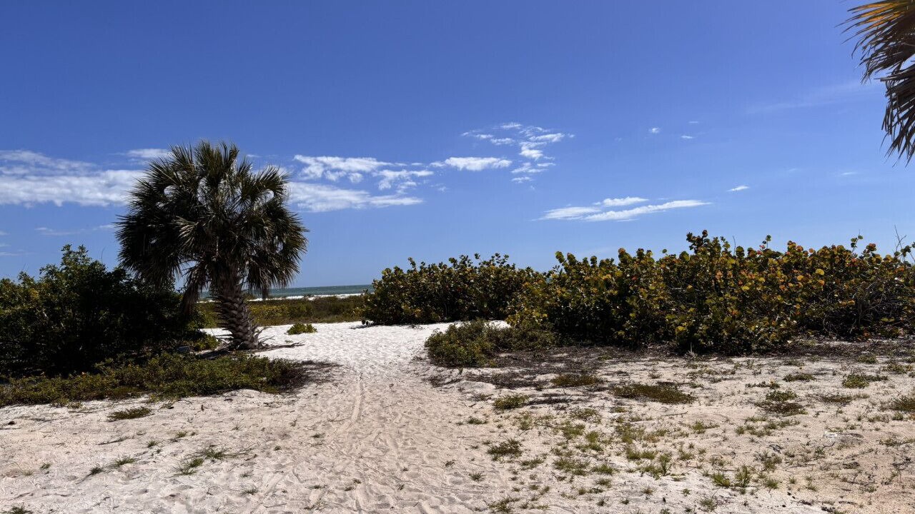 Photo of Others in Laguna Shores