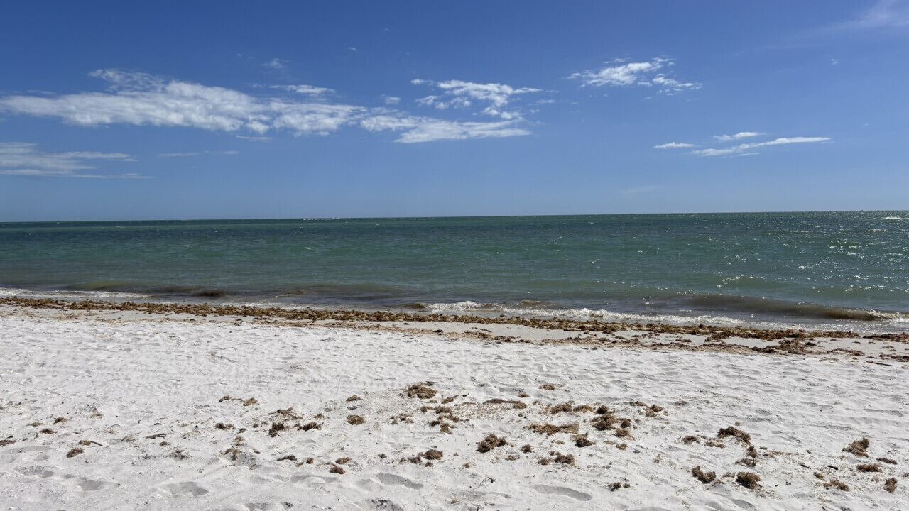 Photo of Others in Laguna Shores