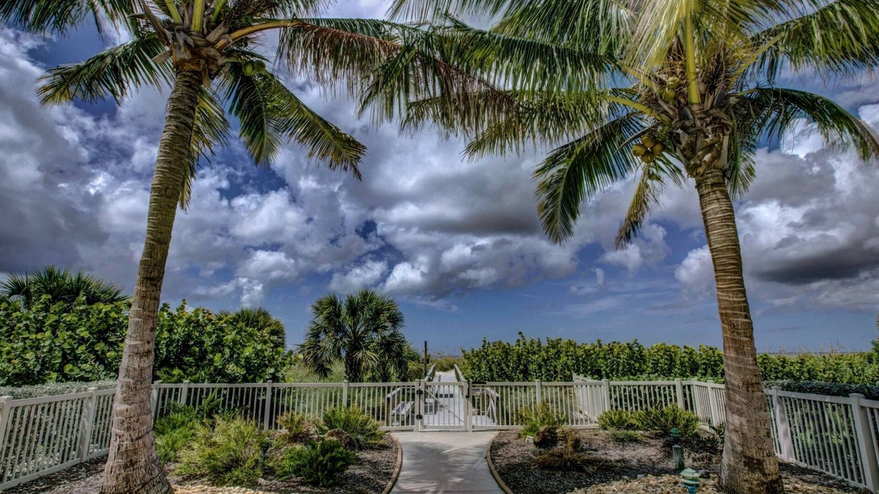 Photo of Others in Siesta Key
