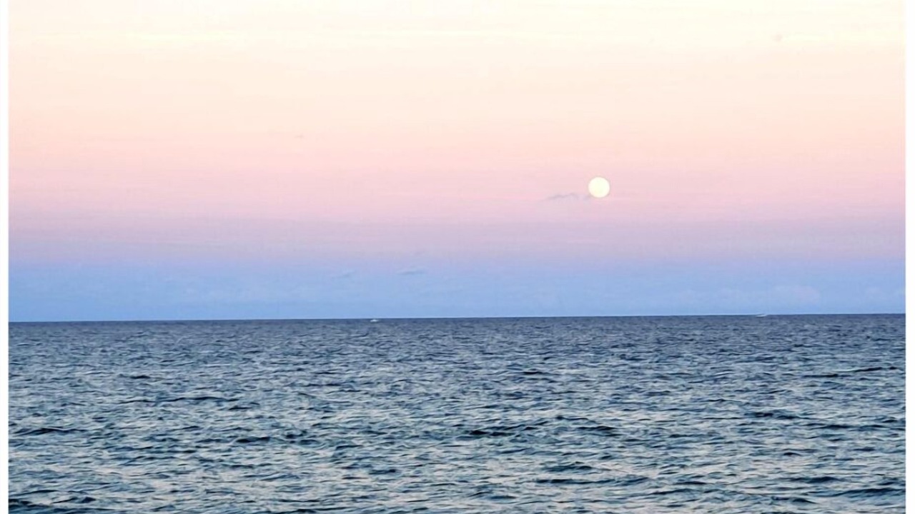Photo of Others in Briny Breezes