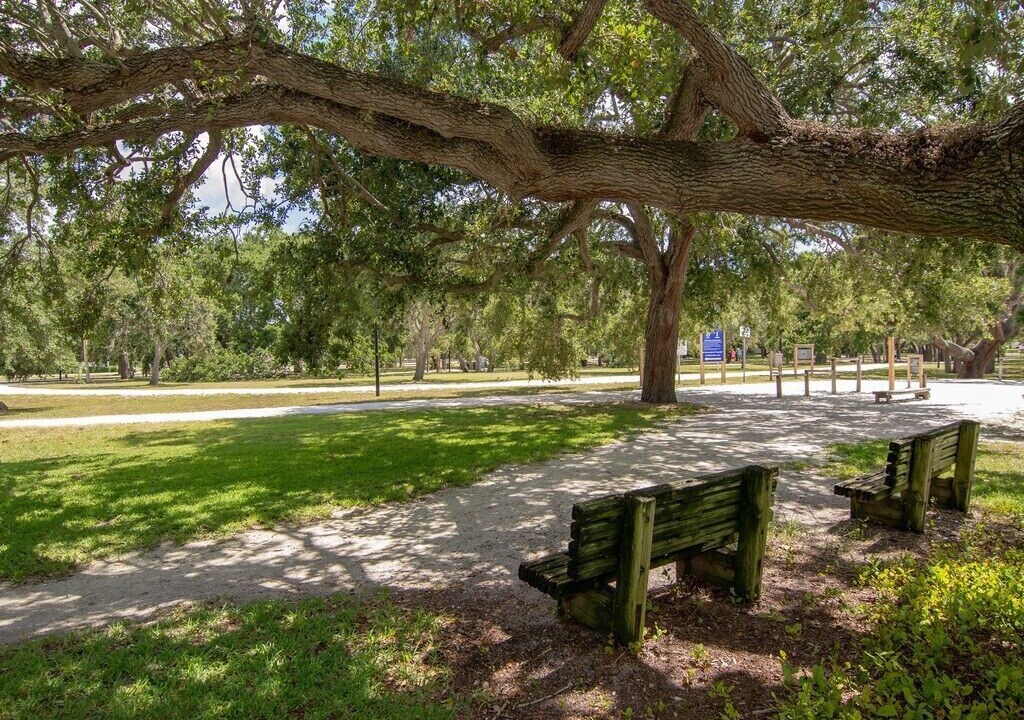 Photo of Outdoor in Central Beach