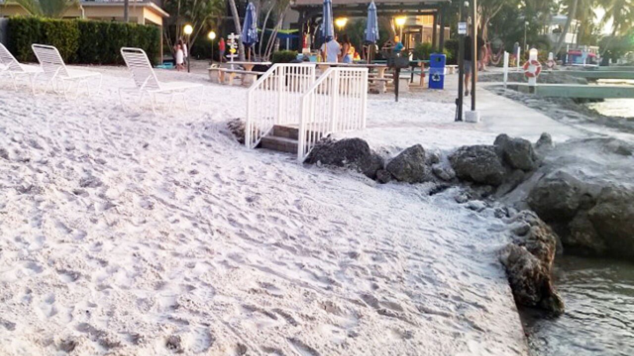 Photo of Others in Key Largo