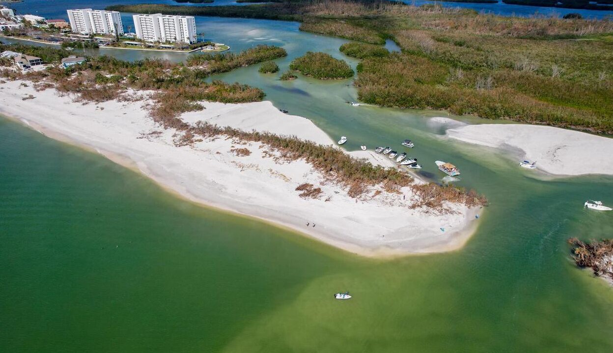 Photo of Others in Siesta Key