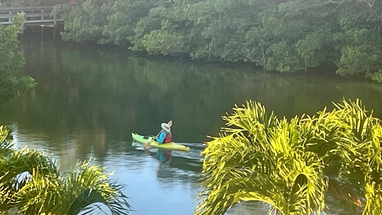 Photo of Others in Siesta Key